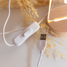 Load image into Gallery viewer, Circle Night light